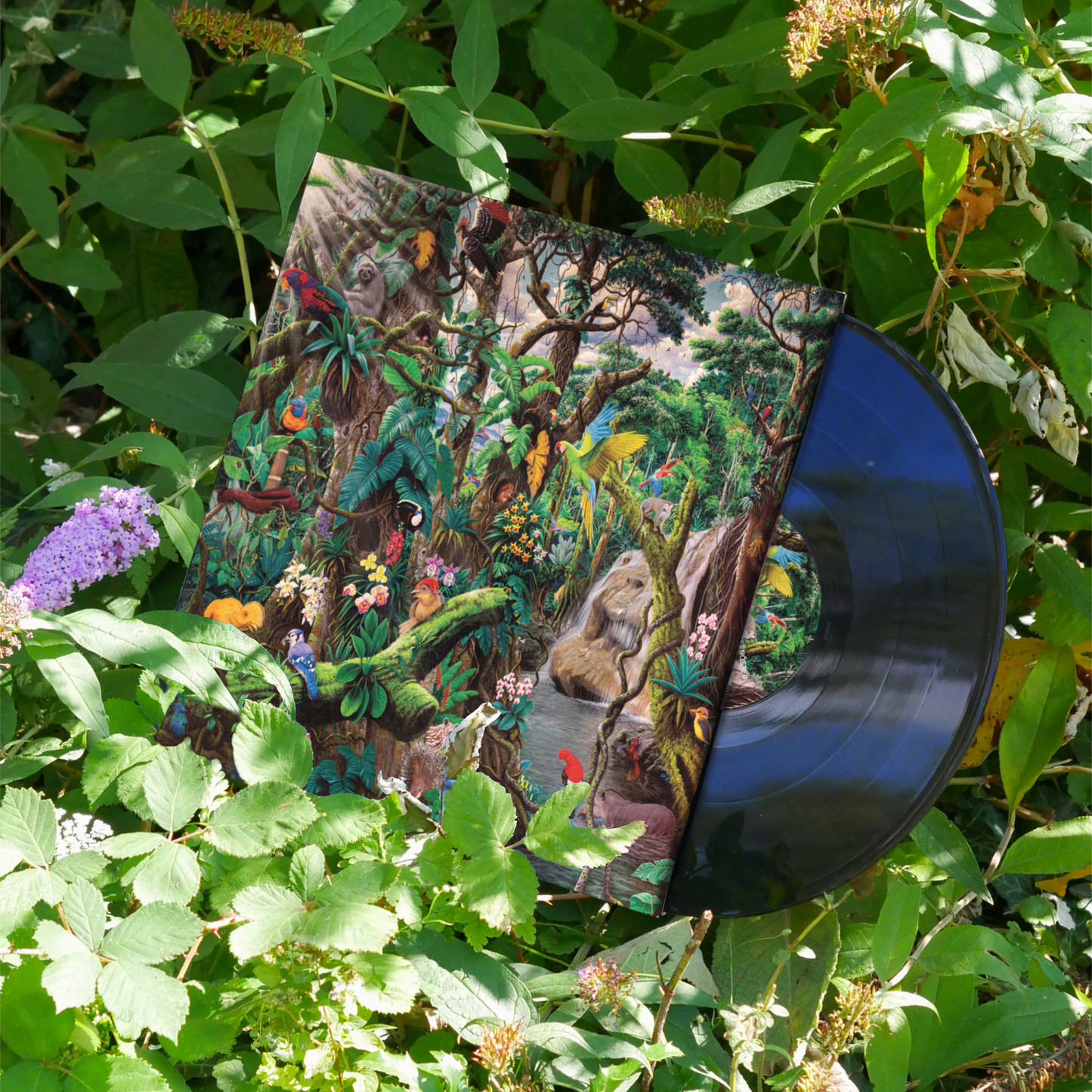 Hanses - Optagon (Limited 2LP - 12" Black)