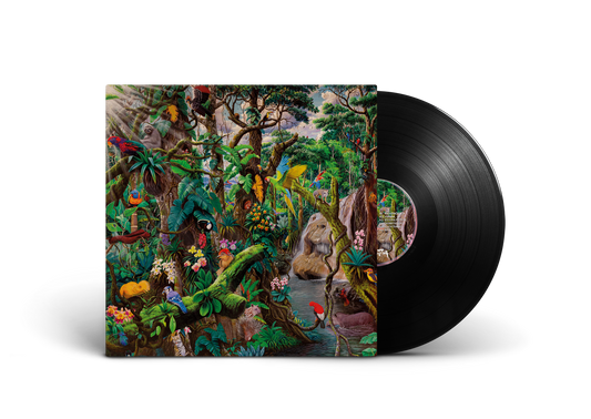 Hanses - Optagon (Limited 2LP - 12" Black)